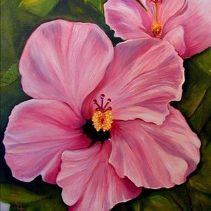 Meet your Posher, Mackenzie